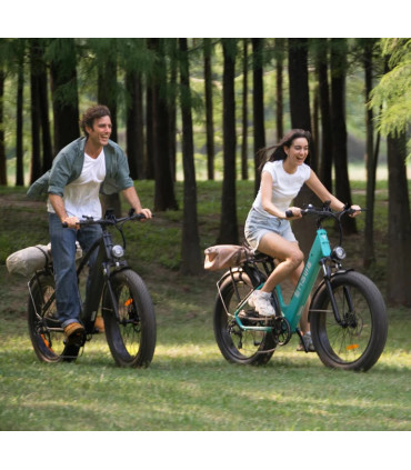 Електрическо колело ENGWE E26 750W 48V16Ah