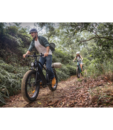 Електрическо колело ENGWE E26 750W 48V16Ah