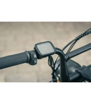 Електрическо колело ENGWE M20 1000W 48V 26Ah double battery