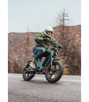 Електрическо колело ENGWE M20 1000W 48V 26Ah double battery