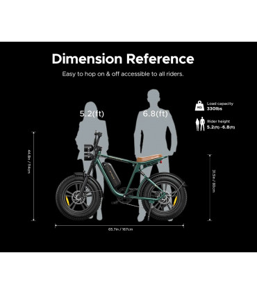 Електрическо колело ENGWE M20 1000W 48V 26Ah double battery