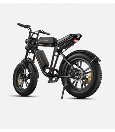 Електрическо колело ENGWE M20 1000W 48V 26Ah double battery