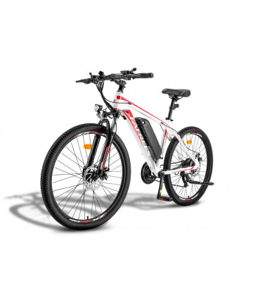 Електрическо колело FAFREES Hailong One 450W 36V 13Ah