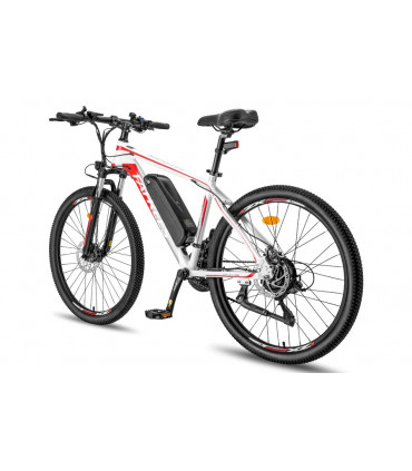 Електрическо колело FAFREES Hailong One 450W 36V 13Ah