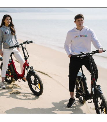 Сгъваемо електрическо колело FAFREES F20+ 450W 36V 20Ah