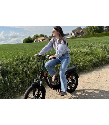 Сгъваемо електрическо колело FAFREES F20+ 450W 36V 20Ah