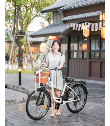 Електрическо колело DYU C6 ST 350W 36V 12.5Ah