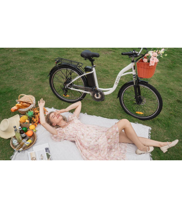 Електрическо колело DYU C6 ST 350W 36V 12.5Ah