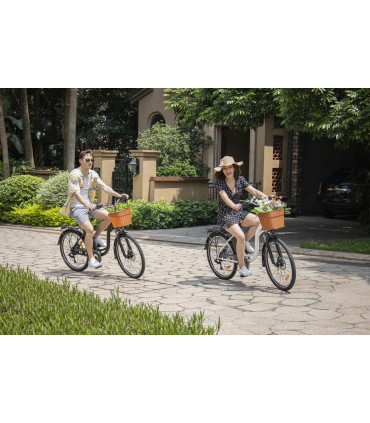 Електрическо колело DYU C6 ST 350W 36V 12.5Ah