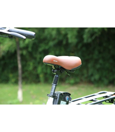 Сгъваемо електрическо колело DrveTion CT20 750W 48V 20Ah