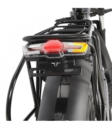 Сгъваемо електрическо колело DrveTion AT20 750W 48V 15Ah