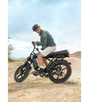 Електрическо колело ENGWE M1 750W 48V 28.6Ah dual battery