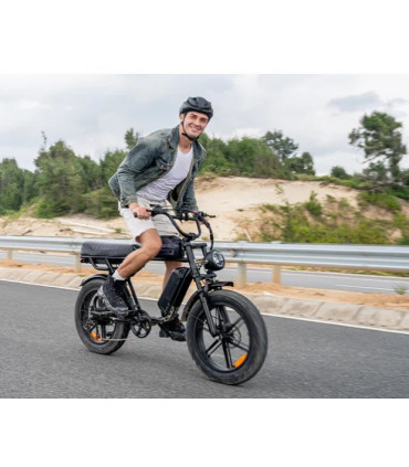 Електрическо колело ENGWE M1 750W 48V 28.6Ah dual battery