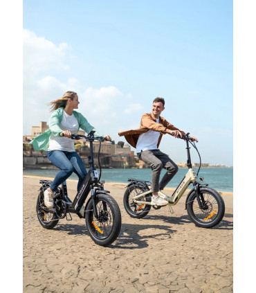 Сгъваемо електрическо колело ENGWE L20 3.0 Boost 750W 48V 13.5Ah
