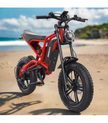 Електрическо колело HIDOES B6 1200W 48V 15.6Ah