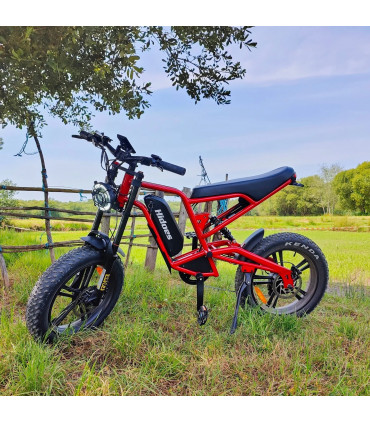 Електрическо колело HIDOES B6 1200W 48V 15.6Ah