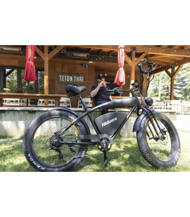 Електрическо колело HIDOES B3 1200W 48V 18.2Ah