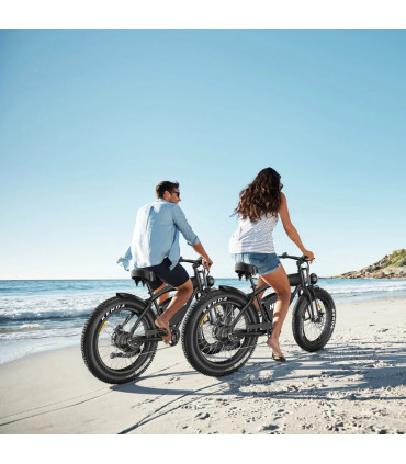 Електрическо колело HIDOES B3 1200W 48V 18.2Ah