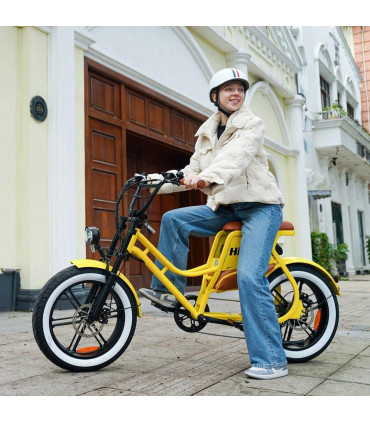 Електрическо колело HIDOES C8 750W 48V17Ah