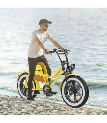 Електрическо колело HIDOES C8 750W 48V17Ah