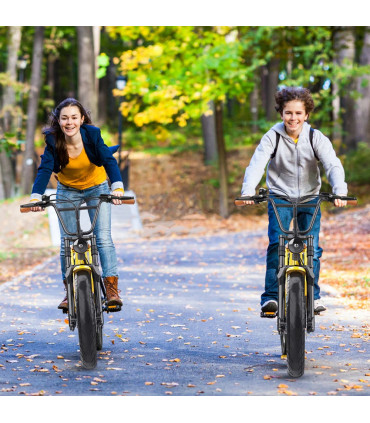 Електрическо колело HIDOES C8 750W 48V17Ah