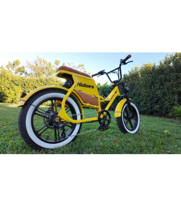 Електрическо колело HIDOES C8 750W 48V17Ah