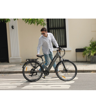 Електрическо колело FAFREES F28 Pro 480W 36V 14.5Ah