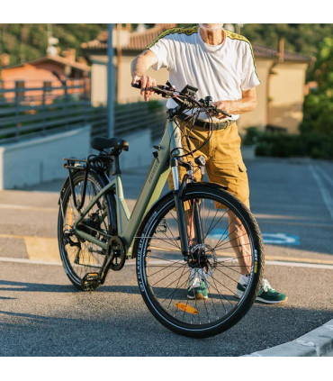 Електрическо колело FAFREES F28 Pro 480W 36V 14.5Ah