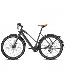 Електрическо колело FAFREES F700W 580W 36V 10Ah