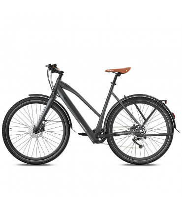 Електрическо колело FAFREES F700W 580W 36V 10Ah