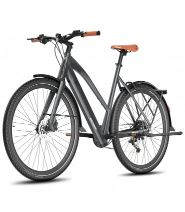 Електрическо колело FAFREES F700W 580W 36V 10Ah