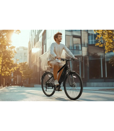 Електрическо колело FAFREES F700W 580W 36V 10Ah