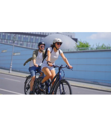 Електрическо колело FAFREES F700W 580W 36V 10Ah