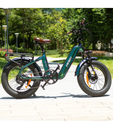 Карбоново електрическо колело FAFREES F20 Master 690W 48V 22.5Ah