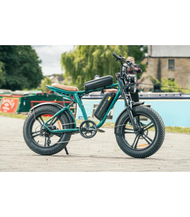 Електрическо колело ENGWE M20 1000W 48V 26Ah double battery