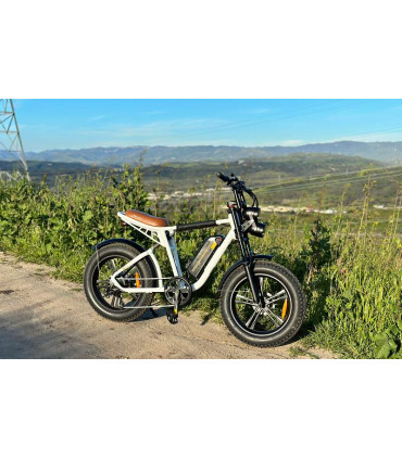 Електрическо колело ENGWE M20 1000W 48V 26Ah double battery