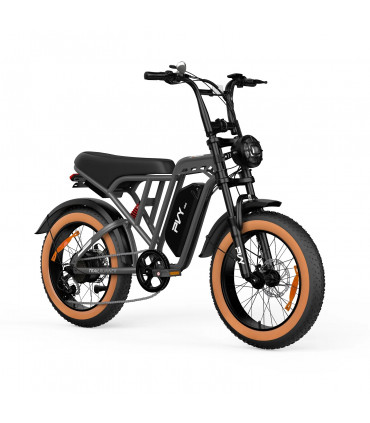 Електрическо колело PVY A20 1000W 48V 20Ah