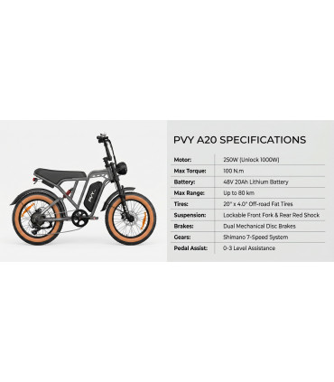 Електрическо колело PVY A20 1000W 48V 20Ah