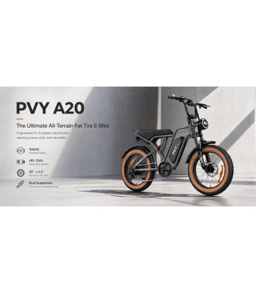 Електрическо колело PVY A20 1000W 48V 20Ah