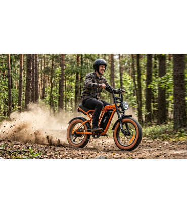 Електрическо колело PVY A20 1000W 48V 20Ah