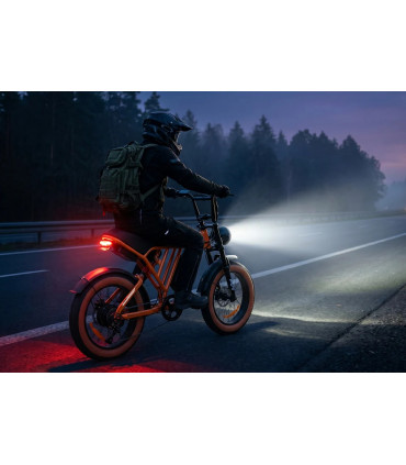 Електрическо колело PVY A20 1000W 48V 20Ah