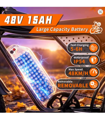 Eлектрическо колело YVY C20 Lite 1000W 48V 15Ah